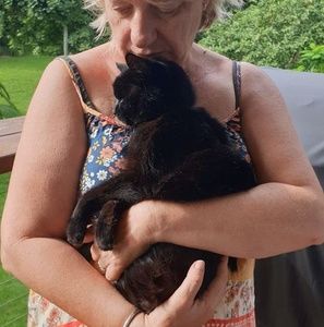 Meet your Posher, Jane